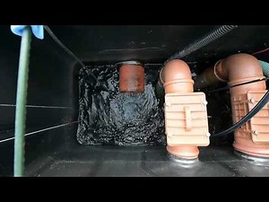 Modern Koi Blog #291 - How to treat water in a koi pond.