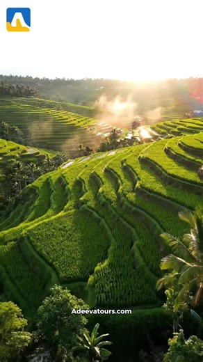 Explore Bali beyond the beaches 🚴‍♂️ Cycle through lush rice terraces, peaceful villages, and scenic countryside for a truly authentic experience. Book your Bali Cycling Tour now at AdeevaTours.com. #BaliCyclingTour #RiceTerracesBali #CyclingInBali #AdeevaTours