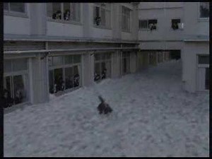 Asian Commercial - Ask Milk Campaign