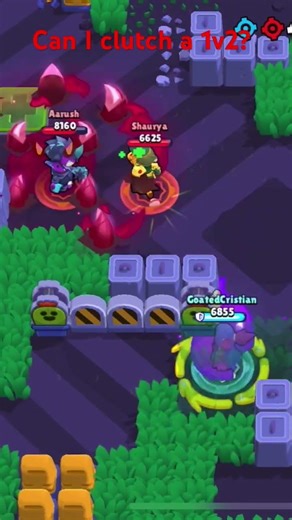 Clutch with Mandy in Knockout