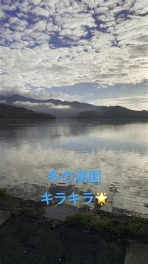 水鳥もゆっくり泳ぐ冬の湖面です。 Waterfowl swim leisurely.at野尻湖畔#癒し #shorts #野尻湖