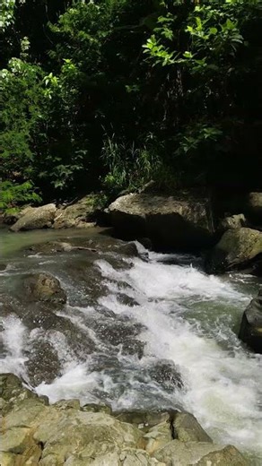 Flowing Water Sounds for Deep Relaxation