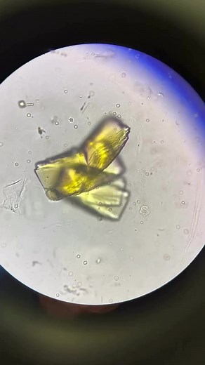 Exploring Microscopy Techniques and Vibes