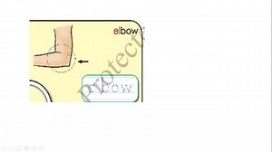 8.3K views · 565 reactions | Grade-2 (ဒုတိယတန်း) ဘာသာရပ်အလိုက် သင်ခန်းစာ အရင်းအမြစ်များ Grade-2 English (ဒုတိယတန်း အင်္ဂလိပ်) G2_English_Unit_2_Lesson_1_2_3 | Myanmar Federal Education | Facebook