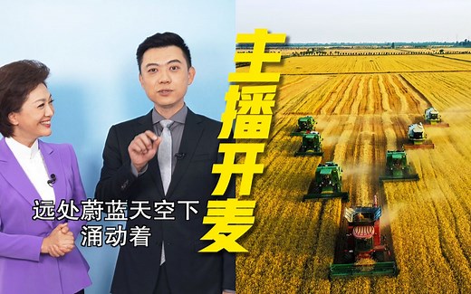 全是知识点！原来《风吹麦浪》唱的是春小麦