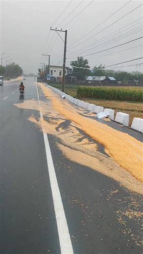 MAIS, BASANG BASA NA.. | Taga Gerona Ka Kung