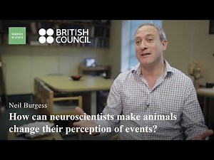 Cognitive Neuroscience — Neil Burgess