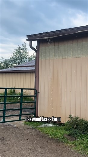 Amanda Kalinowsky on Instagram: "Attempting mud control with water management. Gutters, drains, downspouts, asphalt millings, grading drain tile…the water is still winning."