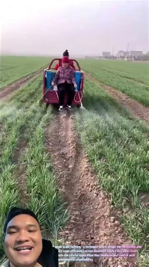 Mẹ Chồng Và Con Dâu Đi Phụ Thuốc Trừ Sâu #agriculture