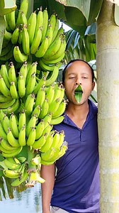 Secret Technique for Catching Parrot 🙉🙉 #reels #parrots #viralvideo #ComedyVideo #indonesia #pigeon #funnyvideos | Funny Spot