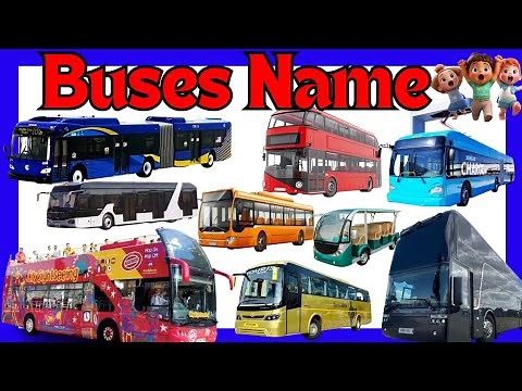Different Types of Buses🚃🚋| Vehicles| Transport Vehicles Name|Preschooler & Toddlers learning video