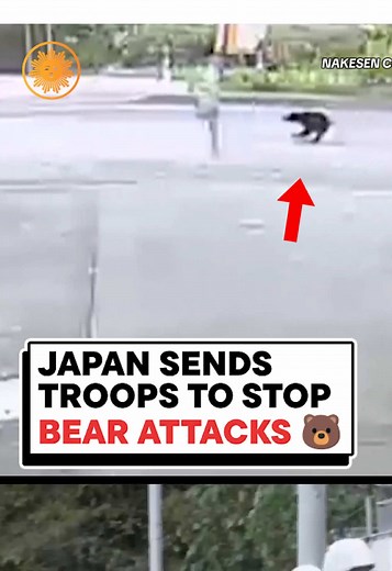 Japón despliega tropas en Akita para contener ataques de osos