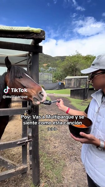 Disfruta de la diversión en Multiparque con amigos y familiares