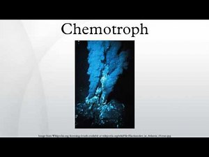 Chemotroph