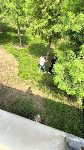 Top of the Roof: Unbelievable Park Encounter