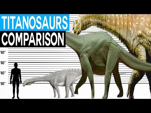 Dinosaur Size Comparison | Titanosaurs