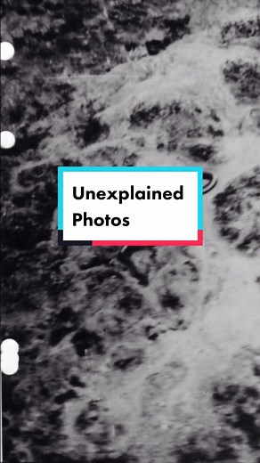 Real or Not? The Mystery of the 50 ft Congo Snake