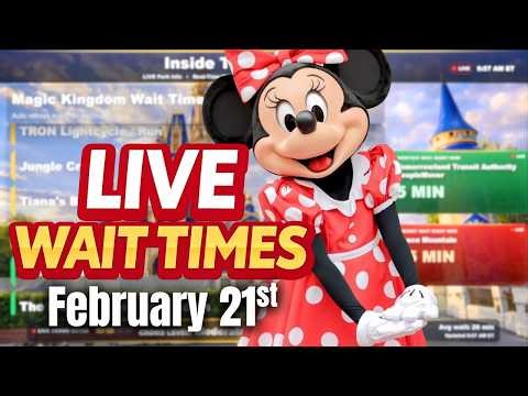 Disney World Resort TV Live Stream 🏰 Wait Times + Crowd Meter