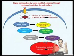 Mod-05 Lec-15 Signal Transduction Pathways - Introduction