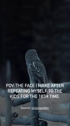 POV when you have told your kids the same thing for the 18th time 😩 Parents you know the look. That mix of frustration disbelief and quiet surrender after repeating yourself for what feels like forever. We see you mums and dads hang in there 😂 #theAsianparent #ParentingHumour #RelatableParenting #SGParents #MumLife #DadLife #ParentStruggles #SingaporeParents | theAsianparent
