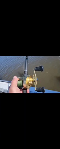 Here, fishy fishy 🐟 #boating #fishing #cod #codfishing #murraycod #fish #millerrods #fyp #freshwaterfishing #freshwater #shimano #shimanofishing #calcuttaconquest