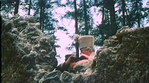 Frankenstein's Great Aunt Tillie 1984