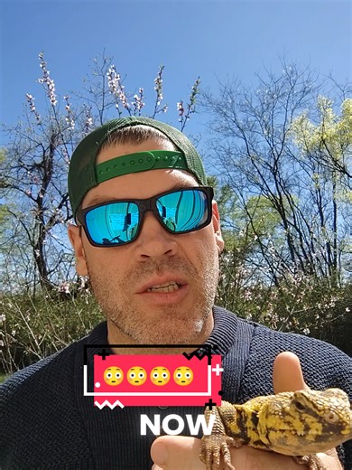 Educational Reptile Experiences in Texas