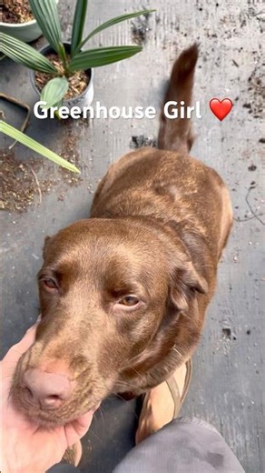 Greenhouse Girl 🌴 Jhana in the Greenhouse