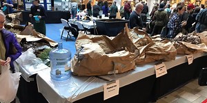 Take home a free tree or grass from the 27th annual TreeFest