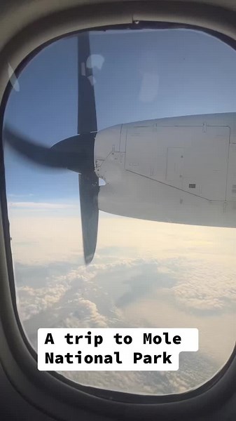 Visit Mole National Park in Ghana