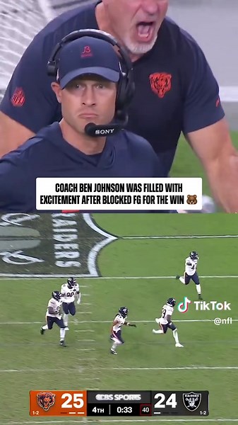 Chicago Bears: Celebrating the Team's Spirit