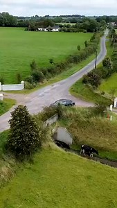 The Batt-Latch Timer is a game-changer for dairy farming! This automatic gate release system saves you time by allowing cows to make their own way to the parlour. Set the timer and let the Batt-Latch do the work! Get yours here: https://www.grasstecgroup.com/c/fencing/63 | Grasstec