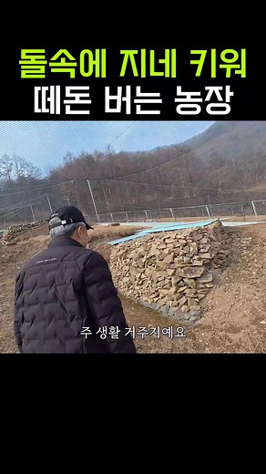 사장님 이야기: 지네 이야기와 풀영상