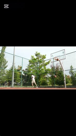 Count it. That one was clean 😤🏀#basketballshorts #hoops #ballislife #countit #handles #streetball