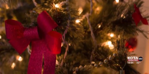 Experts give safety tips on bringing a live tree home