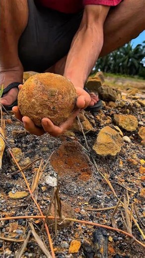 😱‼️ We tried to split this geode, see what's inside #geode #goldmaterial #BREAKING #crystals