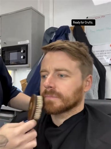 Exploring Wicked Laughter in Pride and Prejudice Adaptations