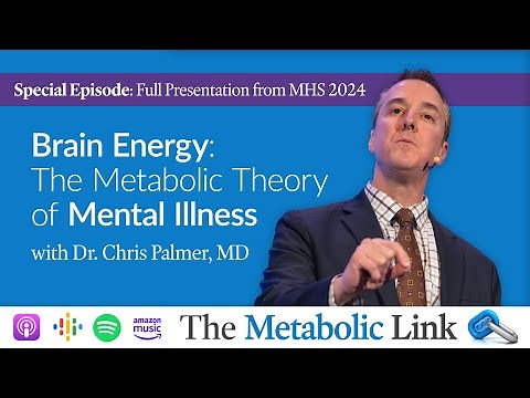 Dr. Chris Palmer | Brain Energy: The Metabolic Theory of Mental Illness | The Metabolic Link Ep. 47