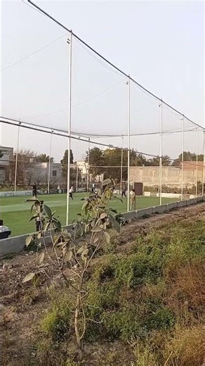 tape ball cricket in cage