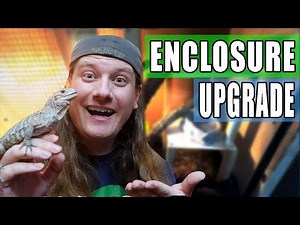 UPGRADES to My Rhino Iguana's Enclosure!
