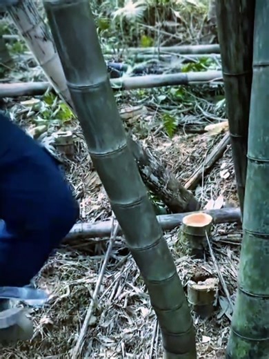 Satisfying Factory Processes: A Visual Delight