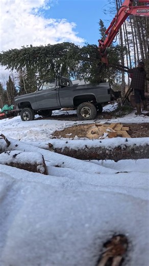 Trying To Save My Square Body From Being Crushed!#squarebodychevy #hankwilliamssr #fypシ