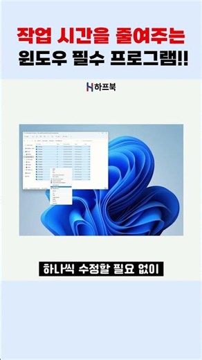 파일명 한번에 변경하기 계산기 단축키 윈도우 꿀팁 공유 #shorts #윈도우11 #파워토이즈 #윈도우꿀팁 #제어판 #가상윈도우 #노트북 #노트북리뷰