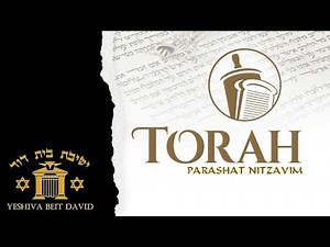 Torah Reading Parashat NITZAVIM in Hebrew with English Translation