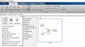 MATLAB and SimBiology Facilitate QSP Modeling and Analysis to Support Drug Development
