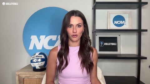 College volleyball teams that won the transfer portal entering 2025