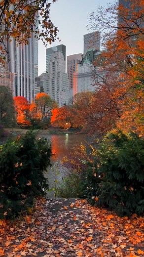 Exploring November Events in NYC: Your Ultimate Guide