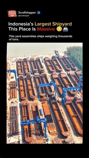 Inside One of the Biggest Shipyards in the World 😳🚢