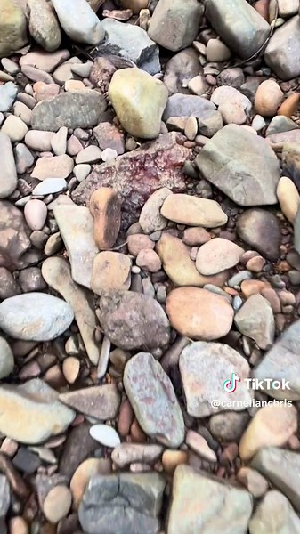 You have to see this! The moment she found this HUGE carnelian agate! 🤩 One of her best finds ever! So lucky! #rockhound #rockhounding #agate #carnelian #washington #rocktok #crystaltok #lucky #big