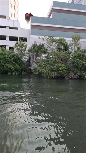 Explorando el Gigante Colosal de Attack on Titan